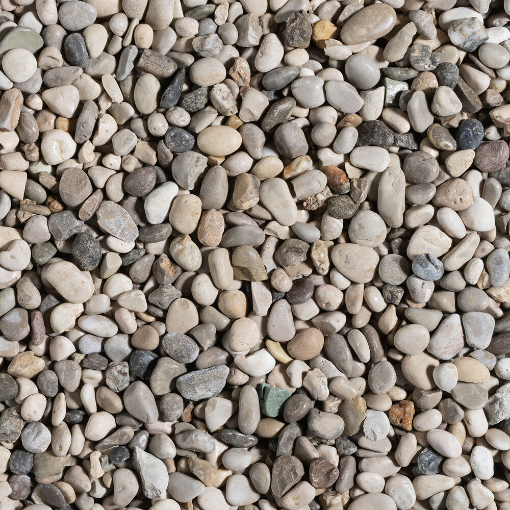 Asciutto