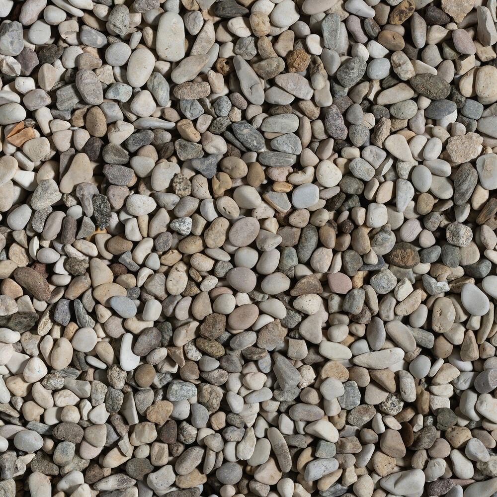 Asciutto